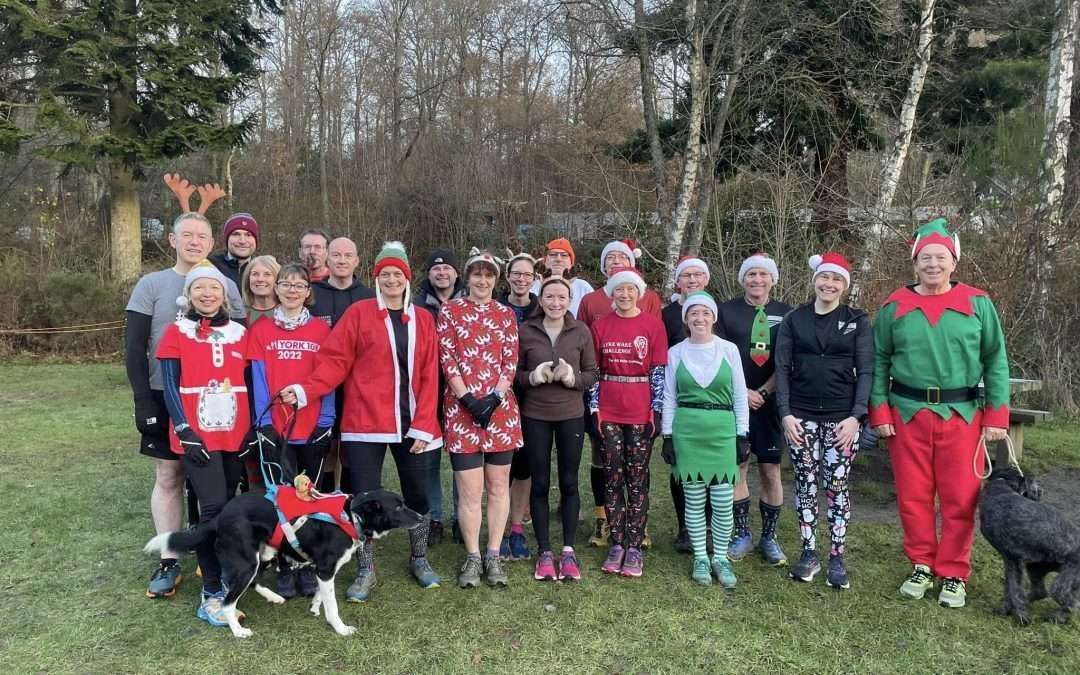 Press Report: 1st – 15th December 2024
