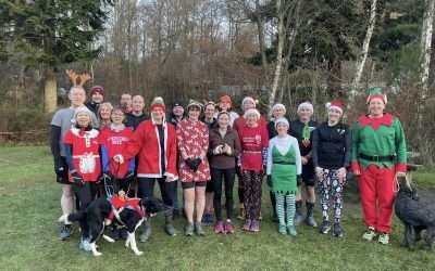 Press Report: 1st – 15th December 2024